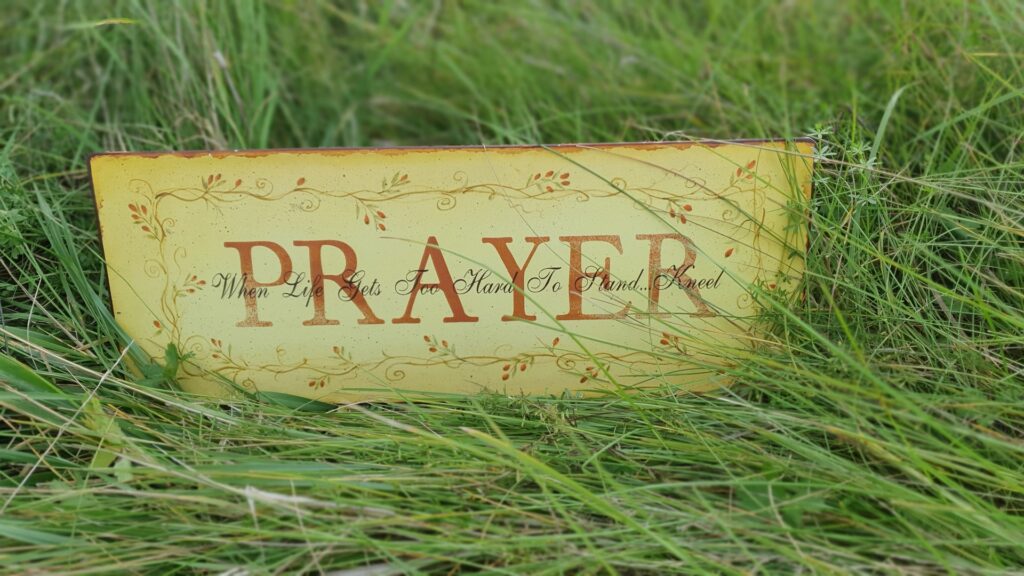 pastorace